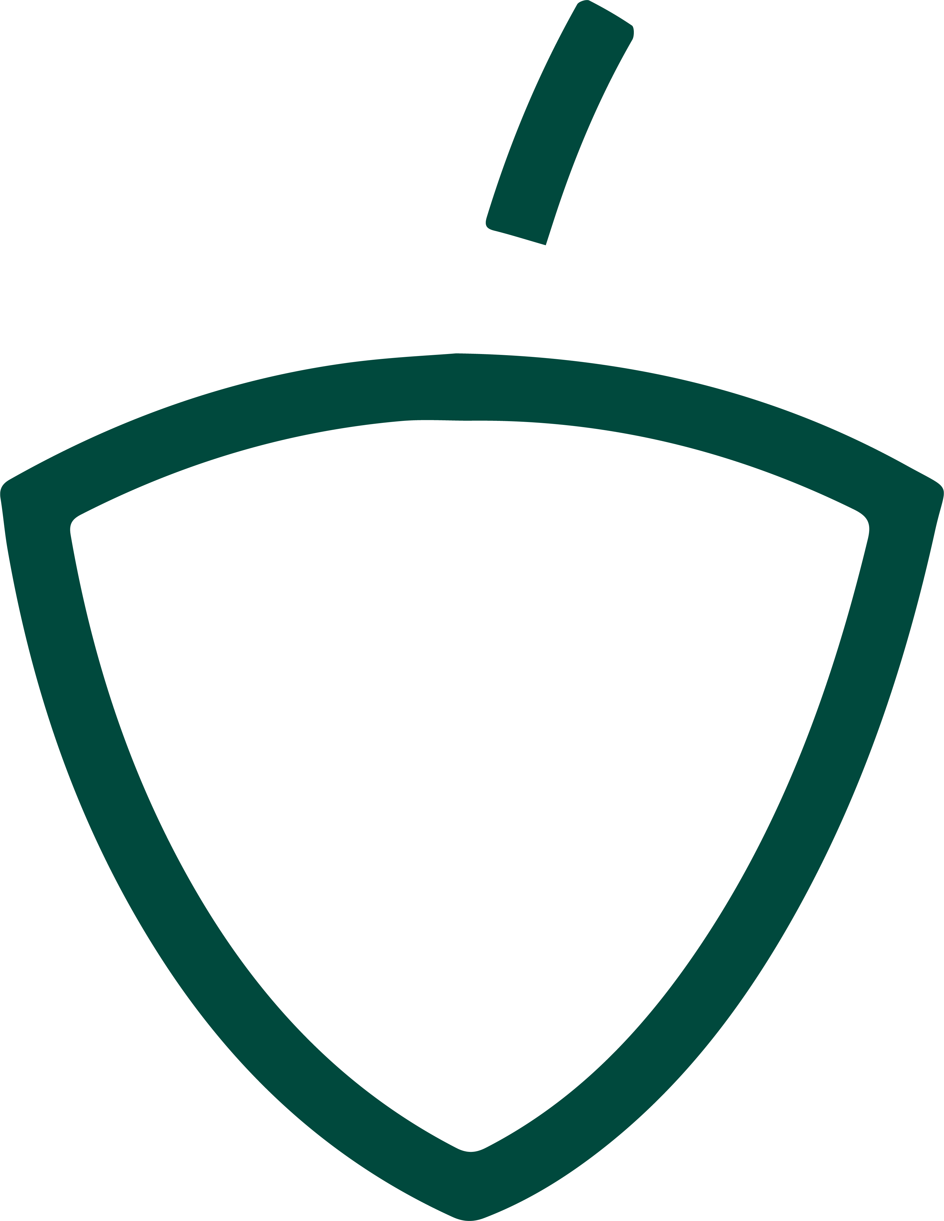 Acorn